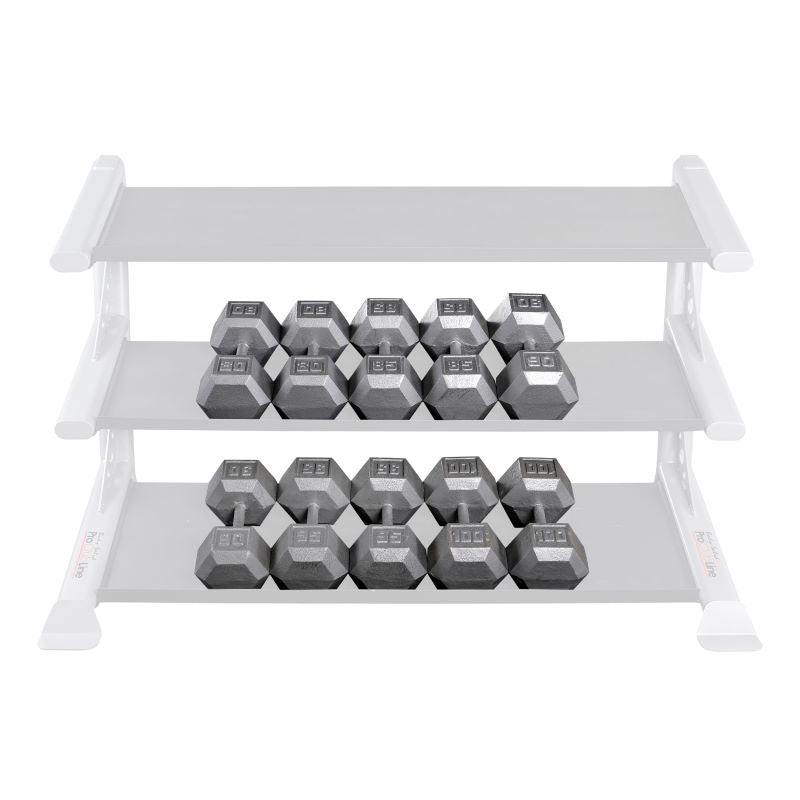 Cast Iron Dumbbell Set 80-100LB