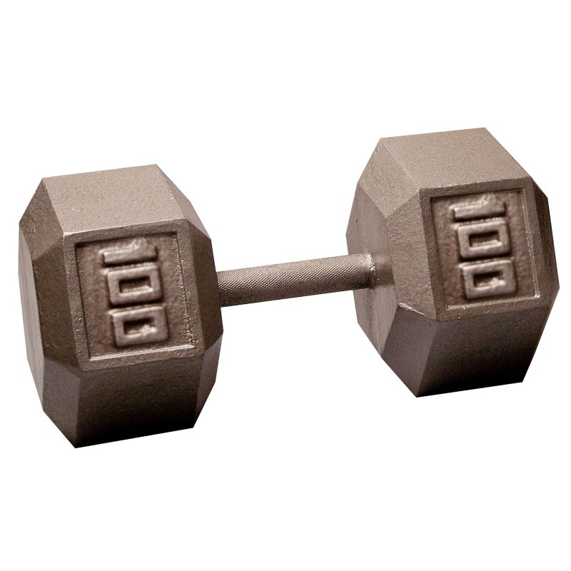 Cast Iron 100LB Dumbbell Front View