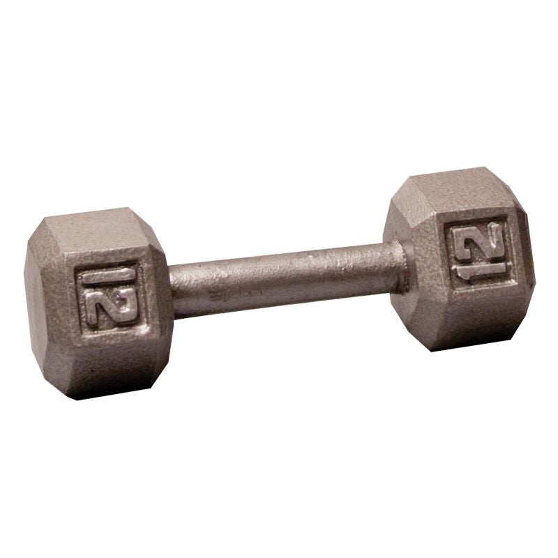 Cast Iron 12LB Dumbbell Front View