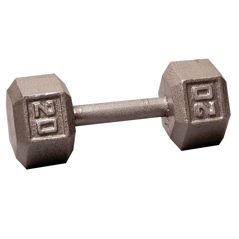 Cast Iron 20LB Dumbbell Front View