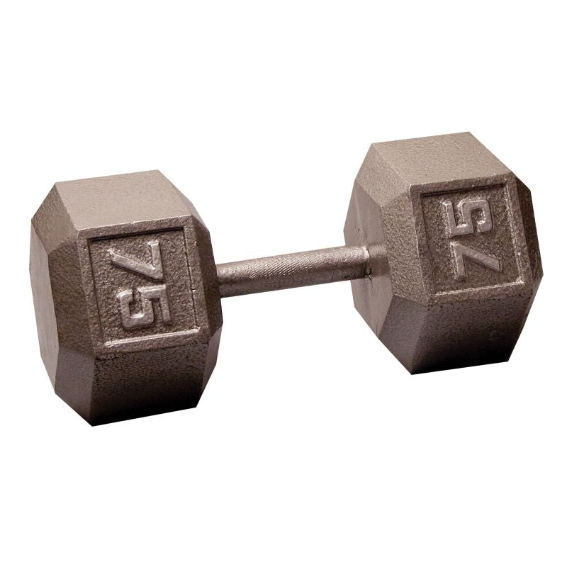 Cast Iron 75LB Dumbbell Front View