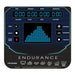 Endurance E300 Elliptical Trainer Interface View